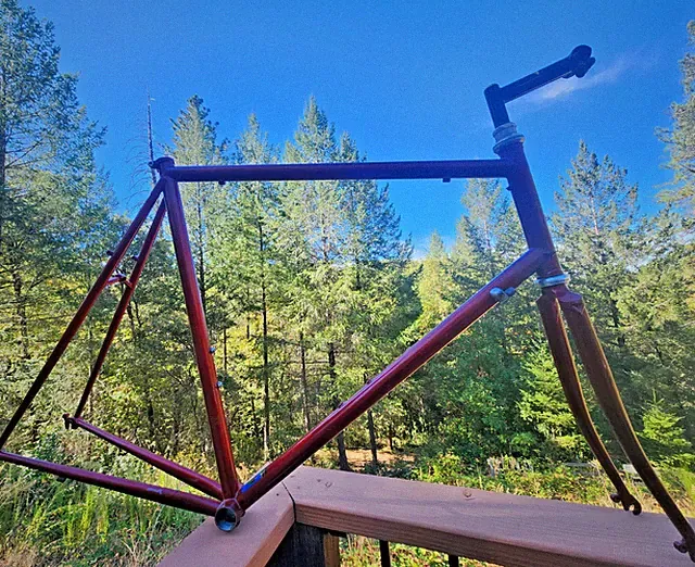 Rock Lobster Steel Road Bike Frame Fork XL Tall 61 65 Custom USA Santa Cruz CA