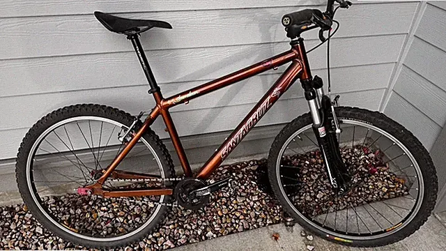 Santa Cruz Chameleon, single speed, rear derailleur adapter-Large